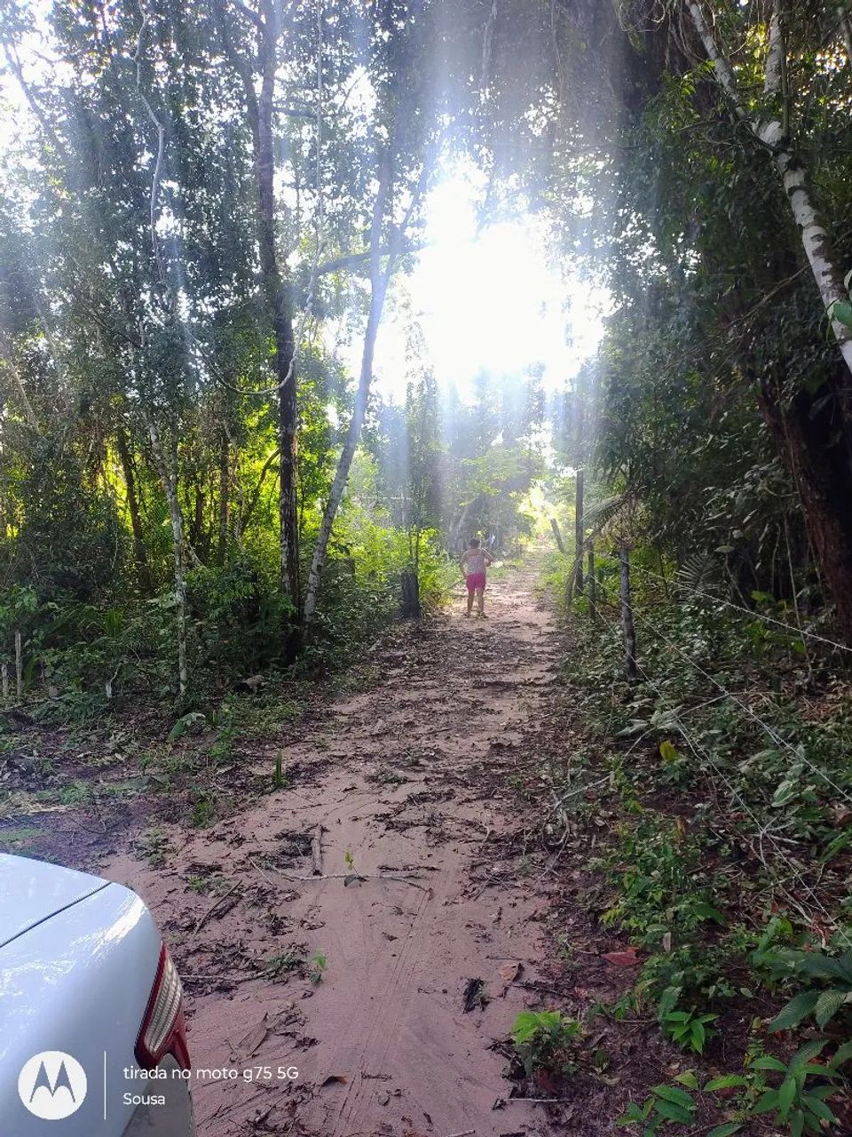 Terreno em alter do chao - Foto 5
