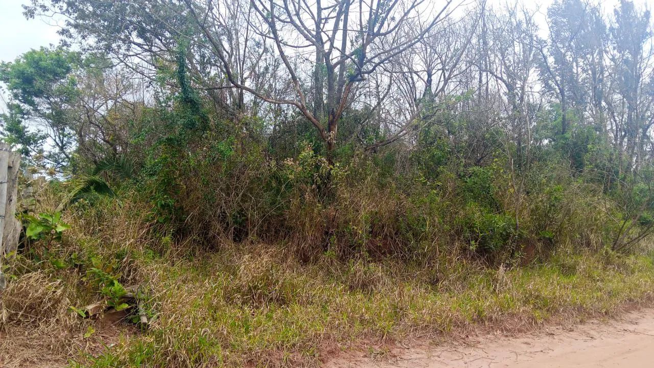Foto - Campinas - Jardim Campos Elíseos