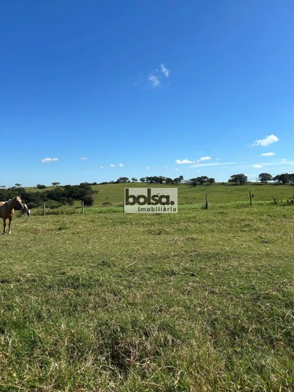 Fazenda montada Bauru - SP - Foto 4