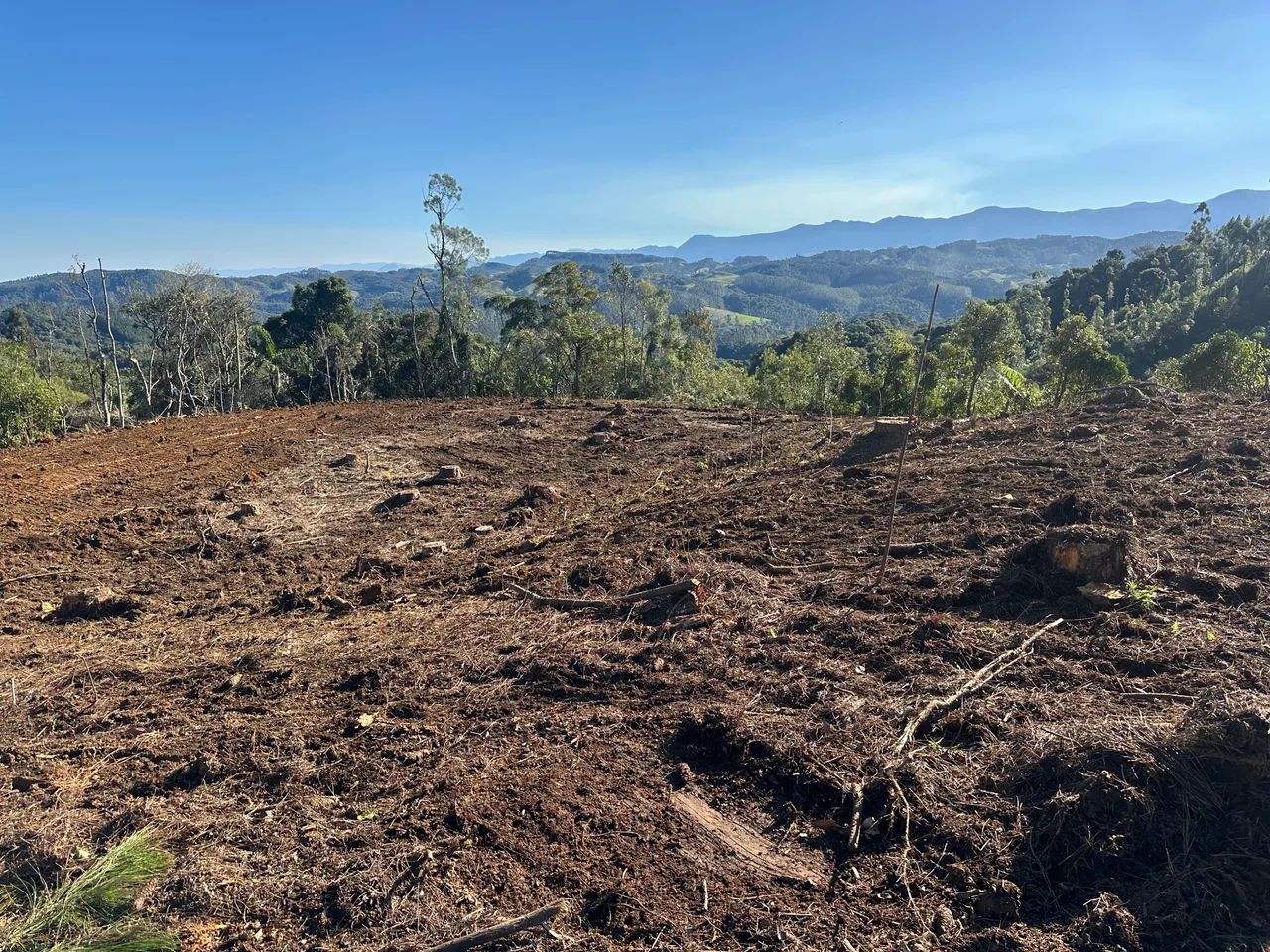 Vendo sítio em Anitapolis  - Foto 3