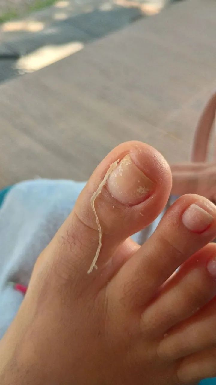 Manicure e pedicure 