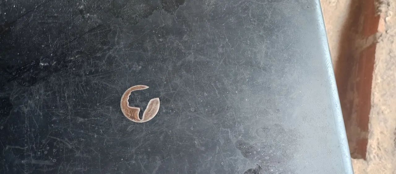 ;nNotebook  - Foto 2