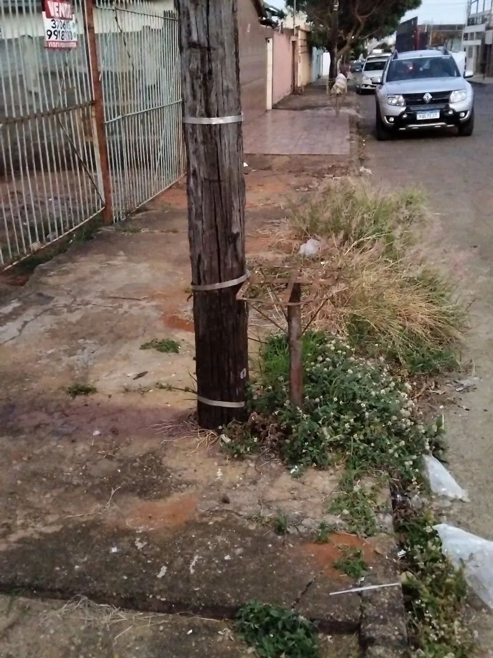 Faço capina 
