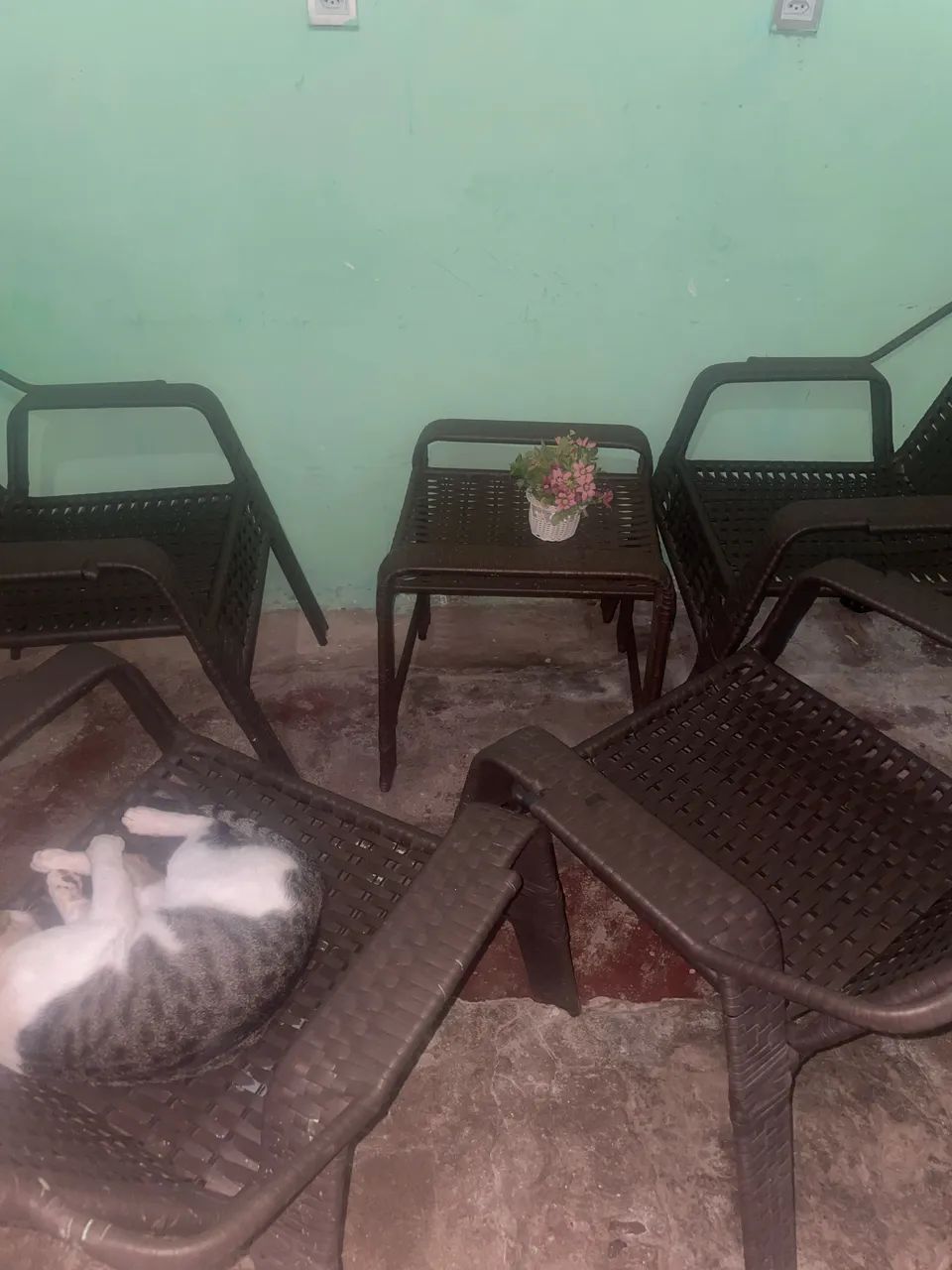 Conjunto de cadeiras de Varanda 