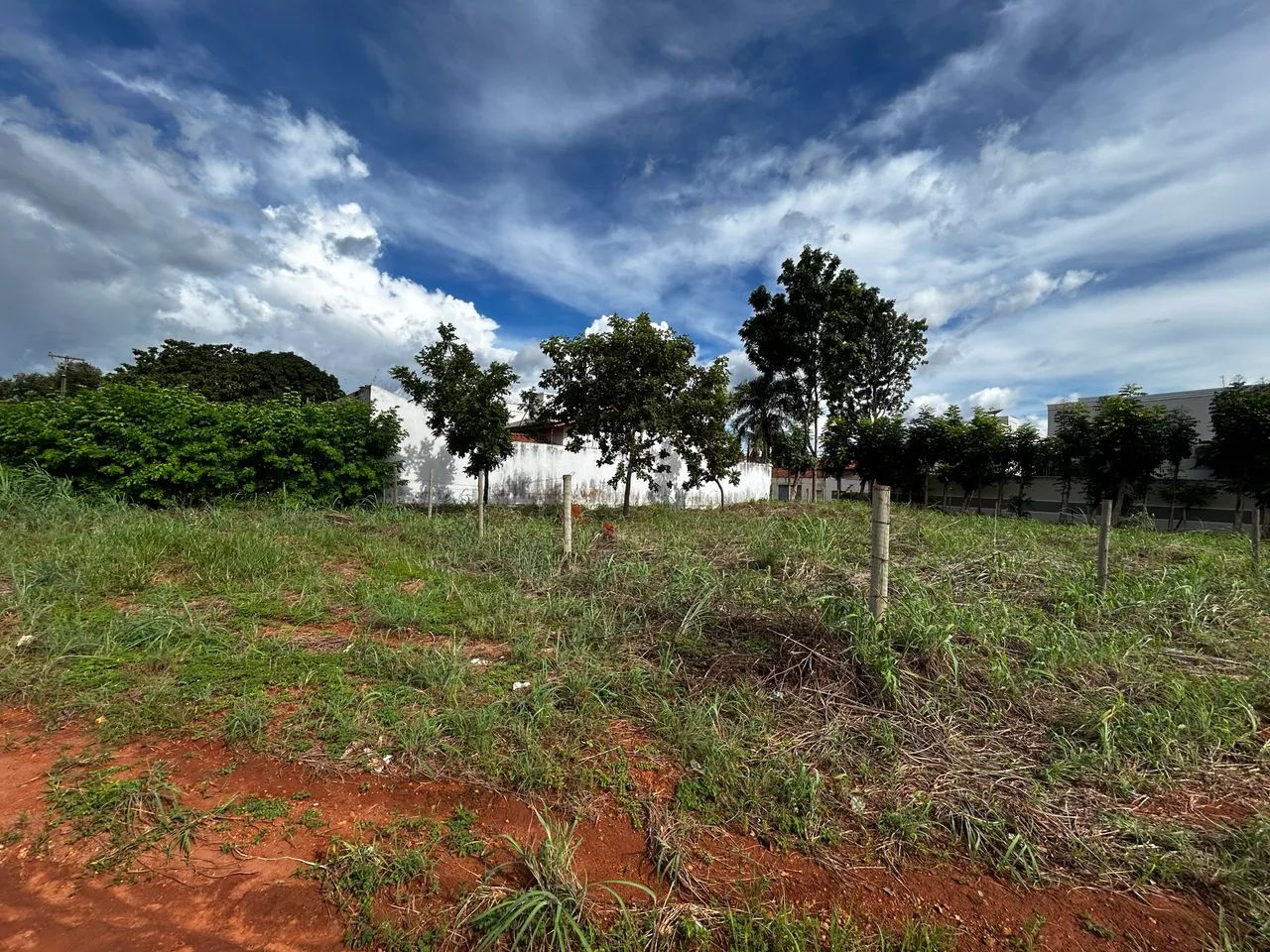Lote lindeiro na 208 norte o último da região a venda  - Foto 3