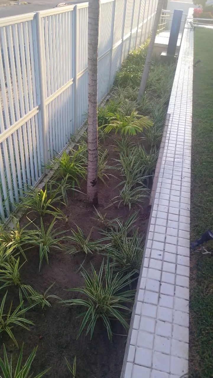 Jardineiro  - Foto 5