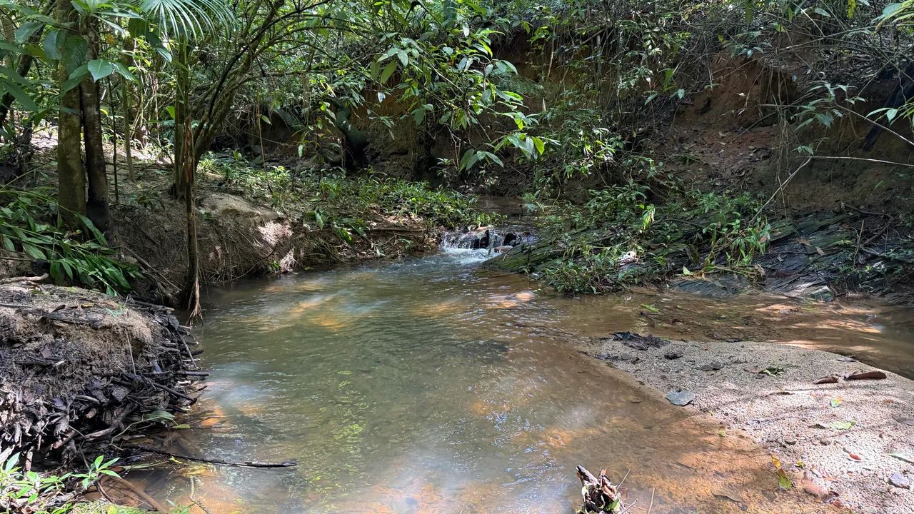Chacara de 5.100mt com córrego no fundo e muita natureza!
