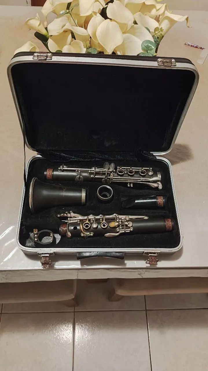 Clarinete shelter - Foto 3