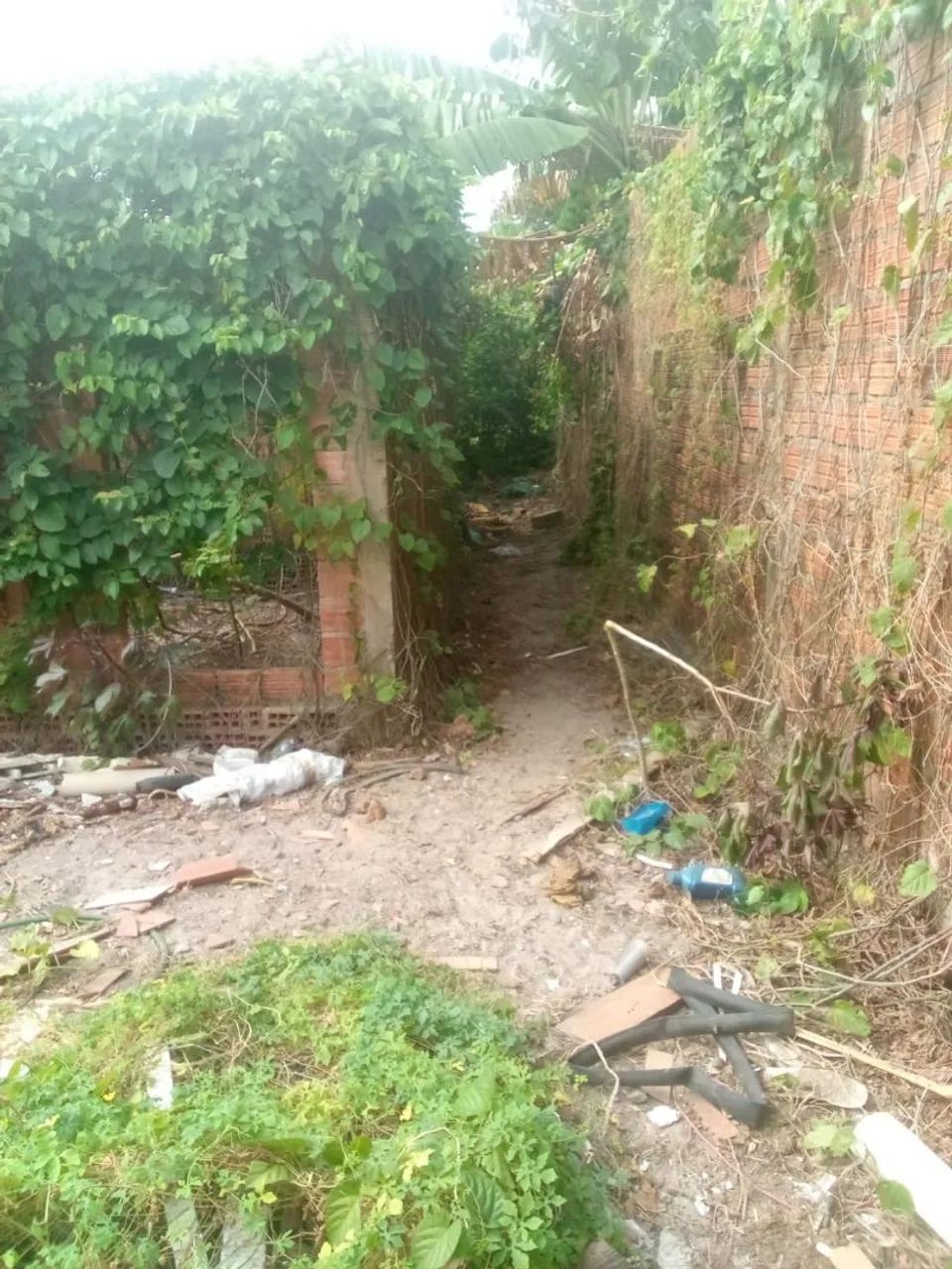 Vendo terreno de 27 de frente e 25 de fundo  - Foto 2
