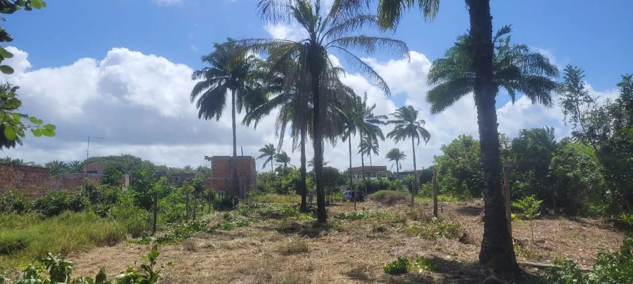 Vendo terreno Guaibim-Valença