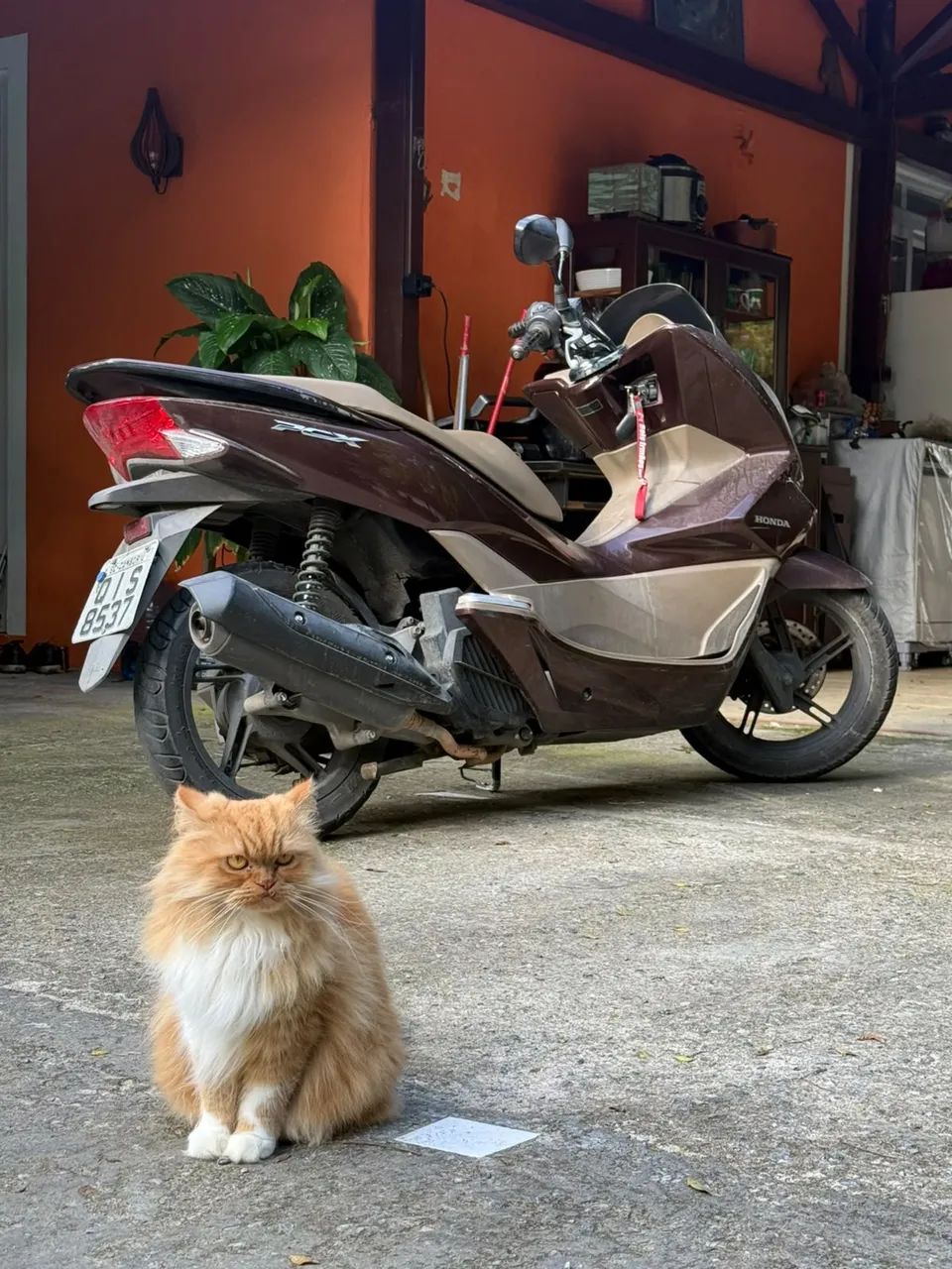 PCX DLX 2017 - Foto 5