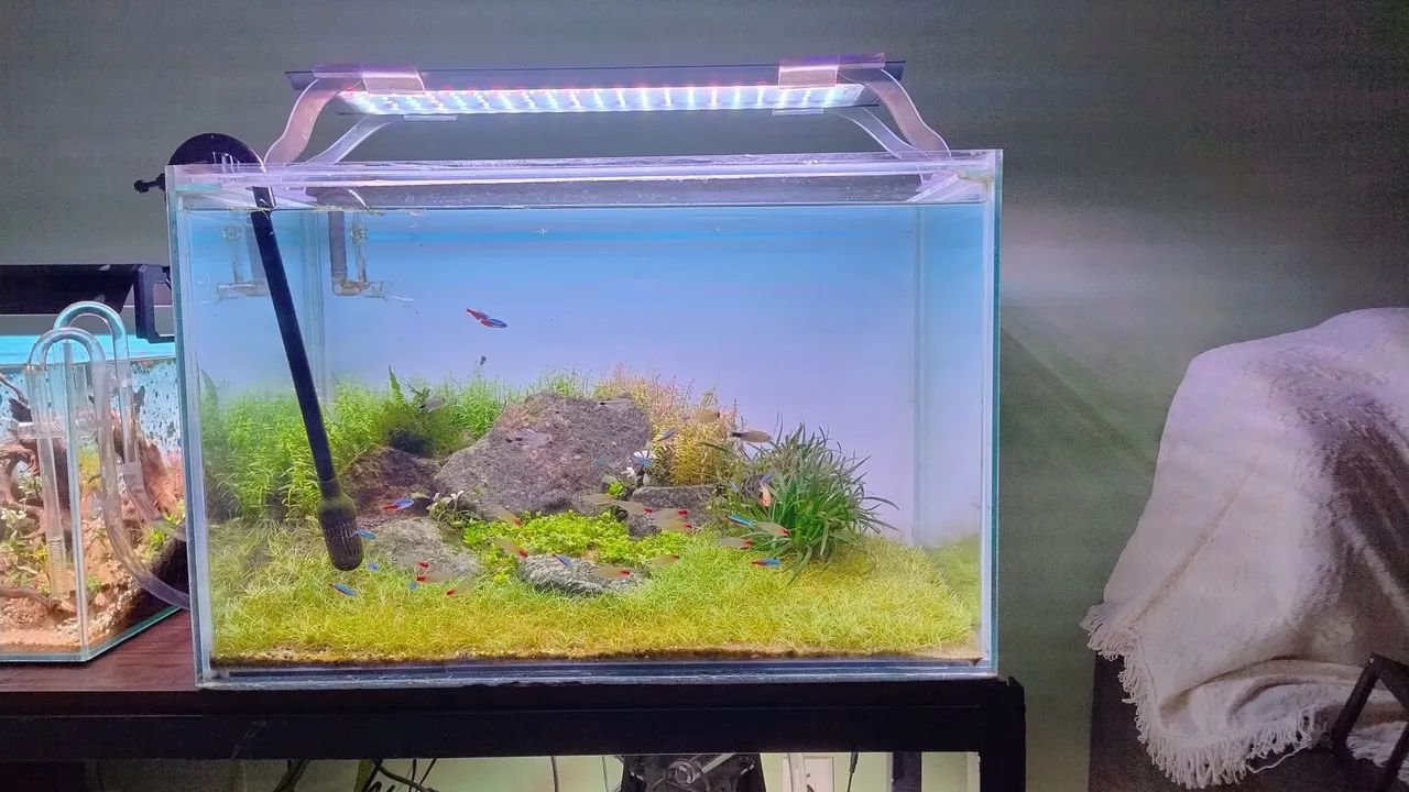 Luminária para aquário plantado WRGB Oceantech nour plus freshwather