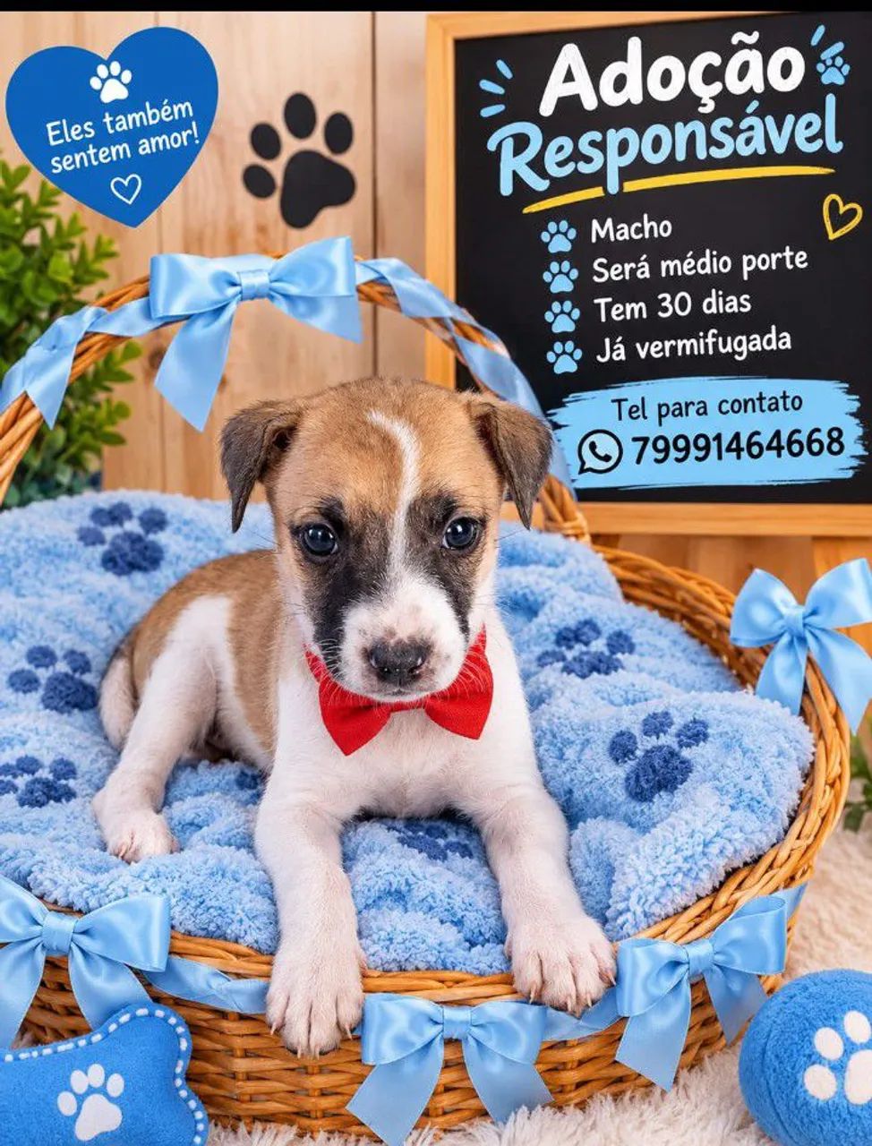 CACHORROS - Foto 2