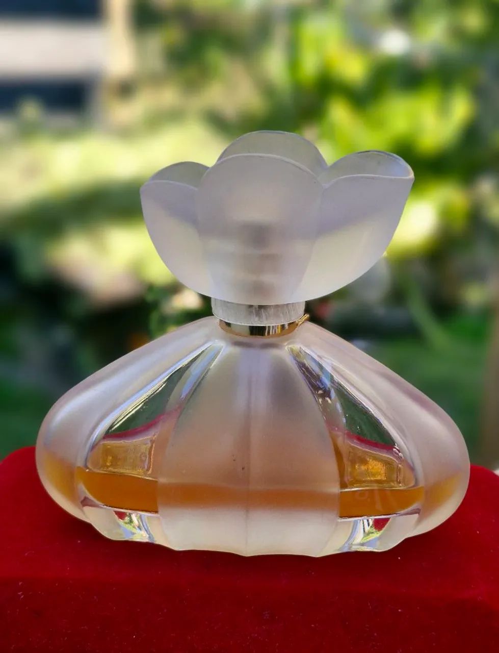 Perfume D'or Paris - Foto 2