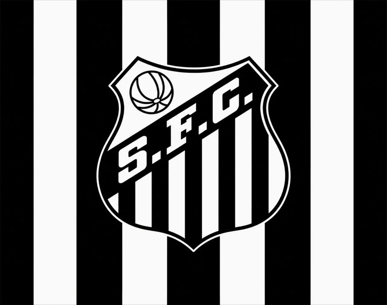 Bandeira Personalizada  - Foto 4