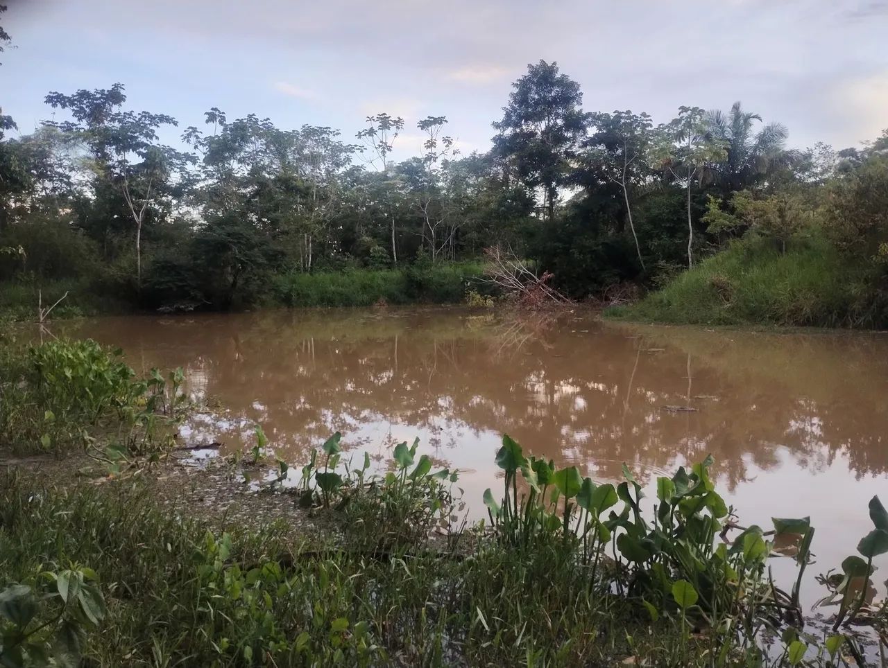 Venda de terra, aceita moto/carro, c/ parte do pagamento  - Foto 2