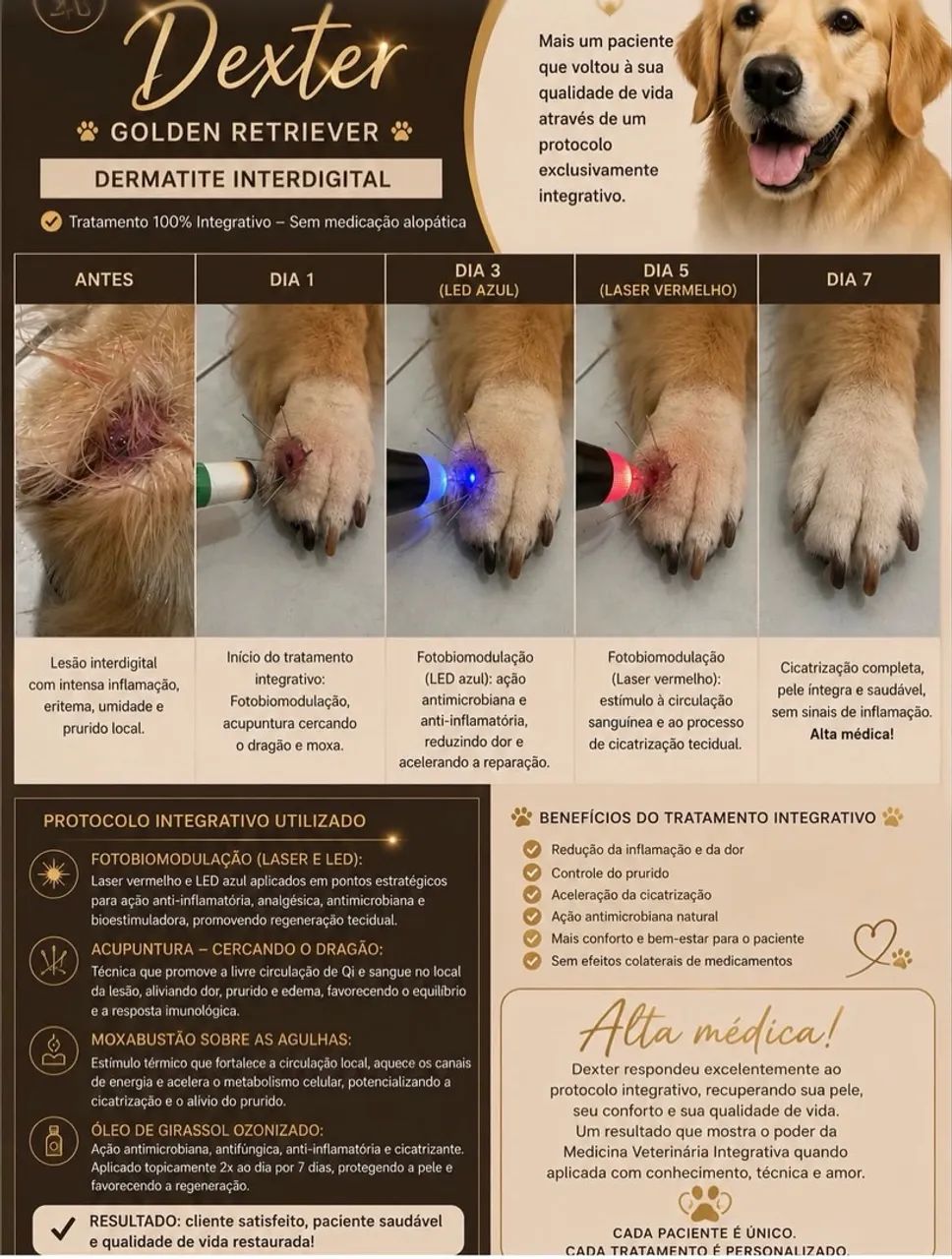 Medicina veterinária! - Foto 2