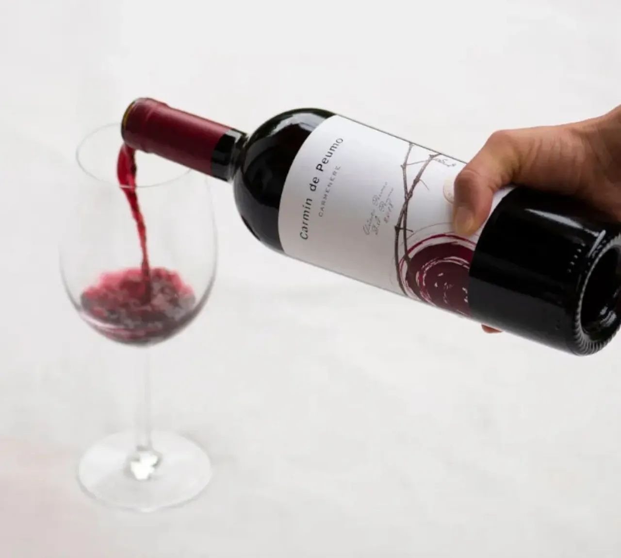 Vinho Carmin de Peumo KIT 6UND  - Foto 3