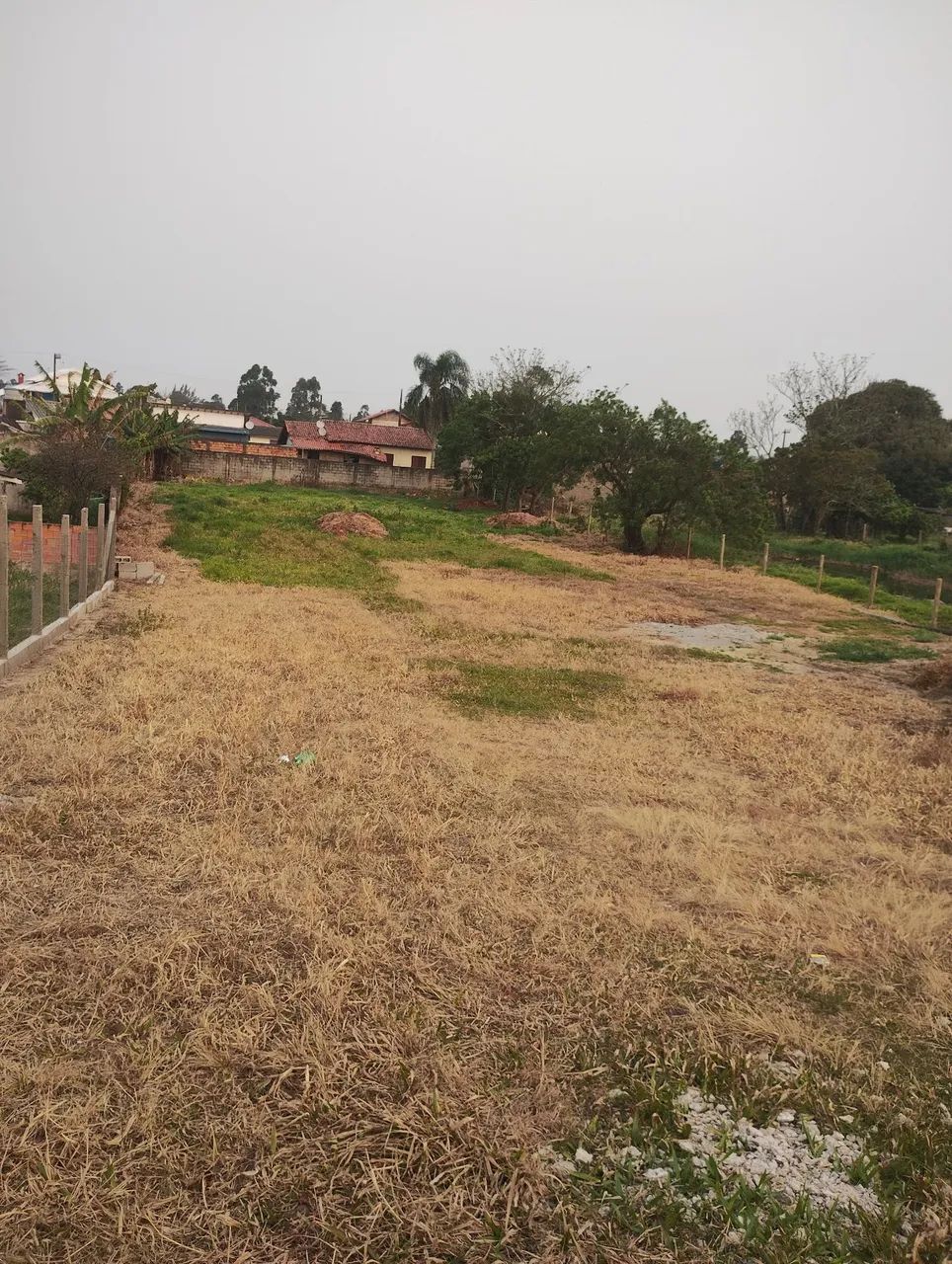 Terreno 25x80
