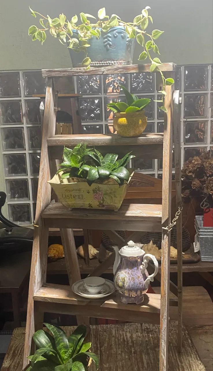 Escada para plantas  - Foto 2