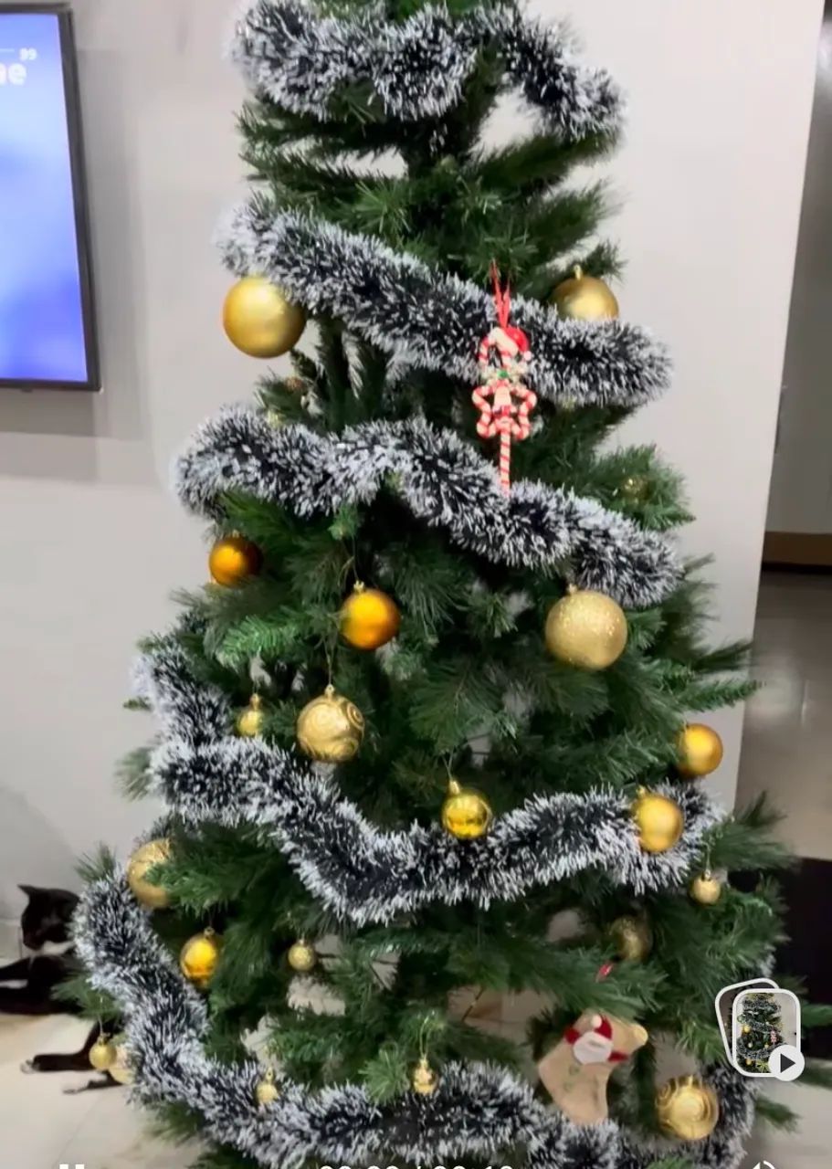 Árvore de Natal - Foto 2