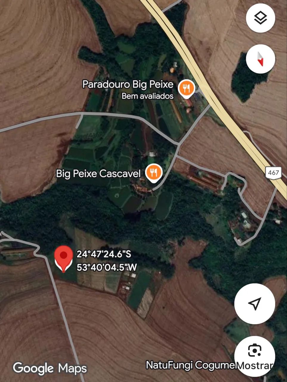 Chácara em Bom Princípio - Toledo - PR - Foto 2