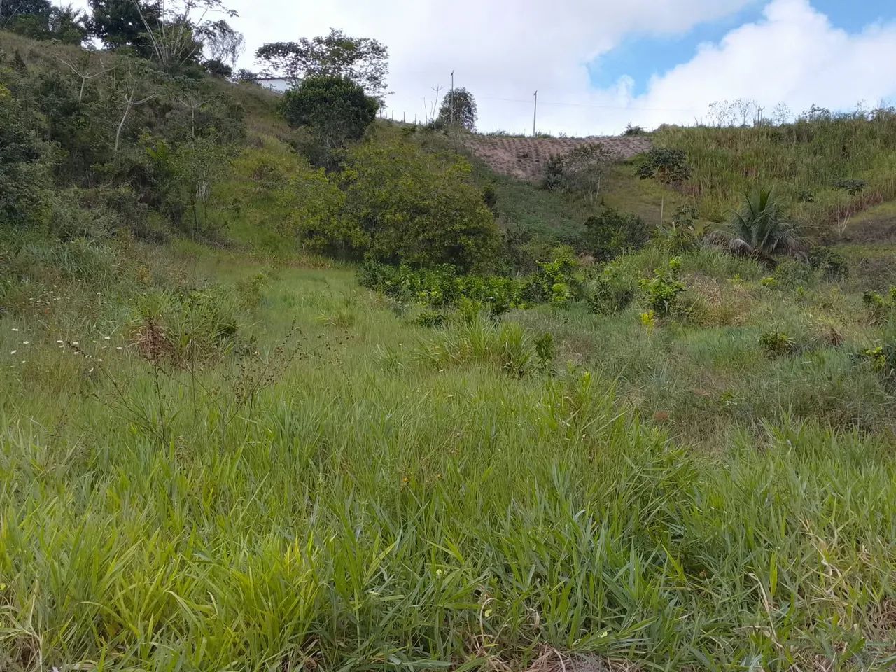 Terreno - Foto 2