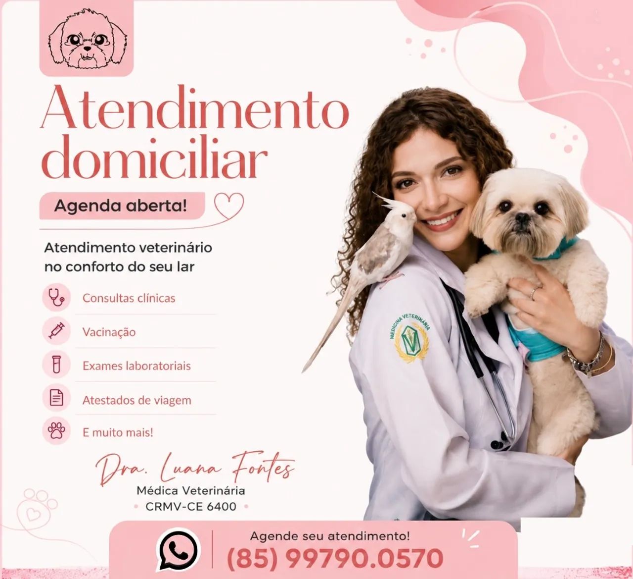 Atendimento Domiciliar 