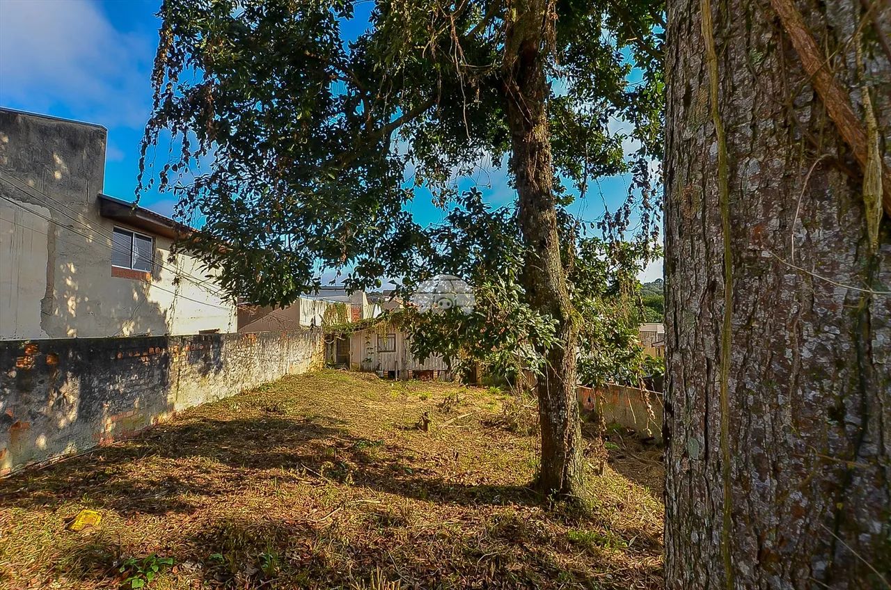 Vendas Terreno Curitiba PR - Foto 5