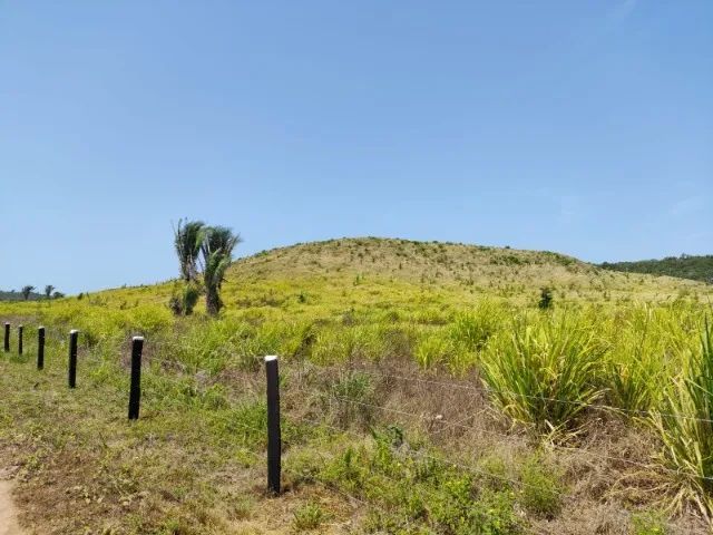 Fazenda em Vargem Grande do Maranhão - Foto 2