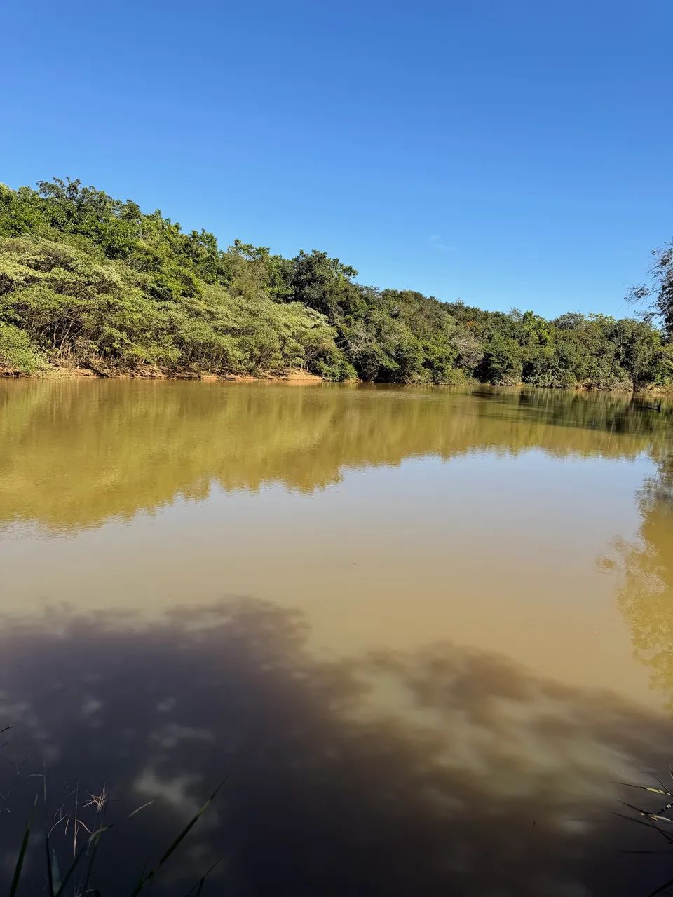 Fazenda as margens do rio Pará em Itaguara MG a 100 km de BH