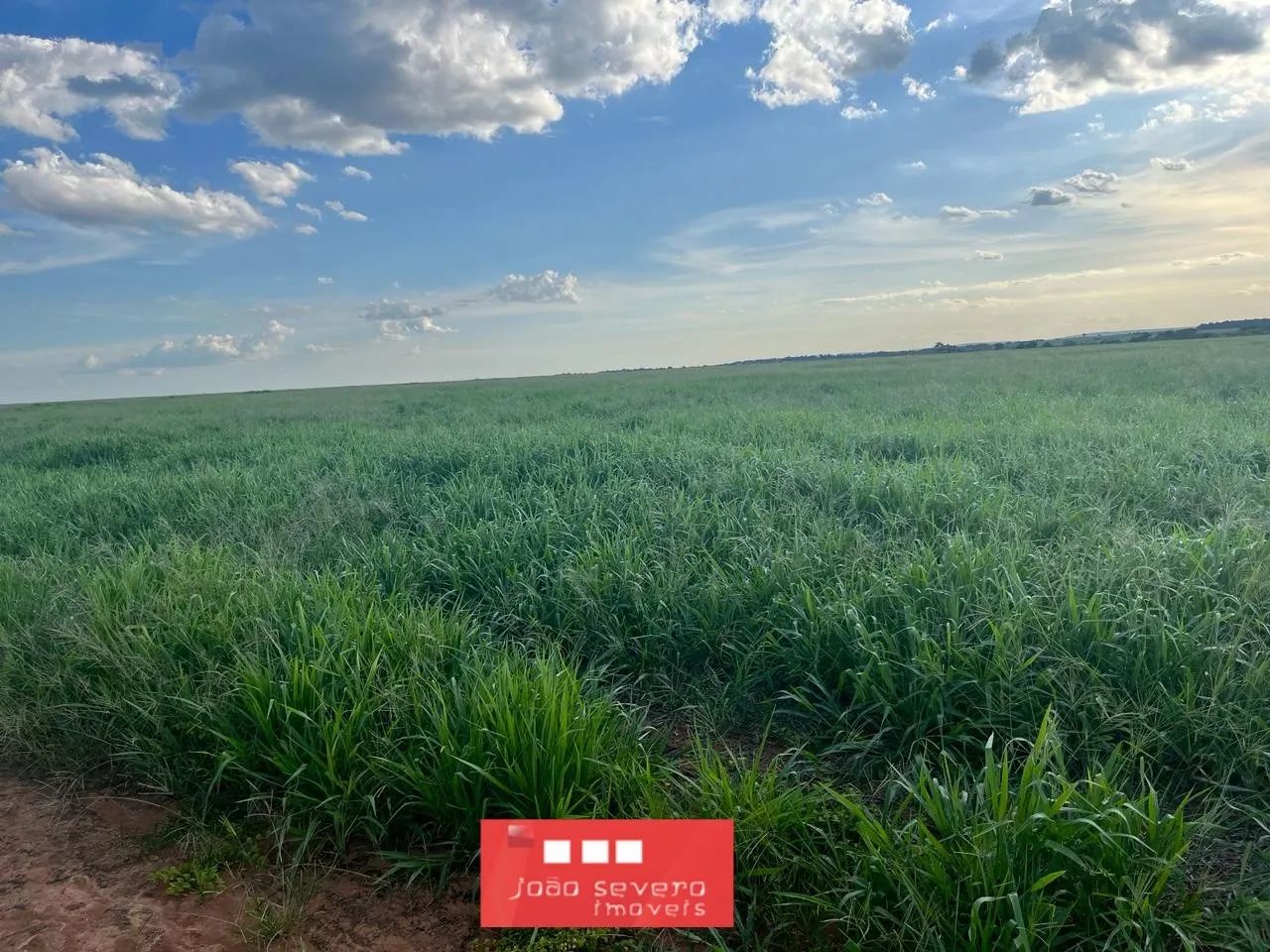 Fazenda para Venda em Britânia - Foto 3