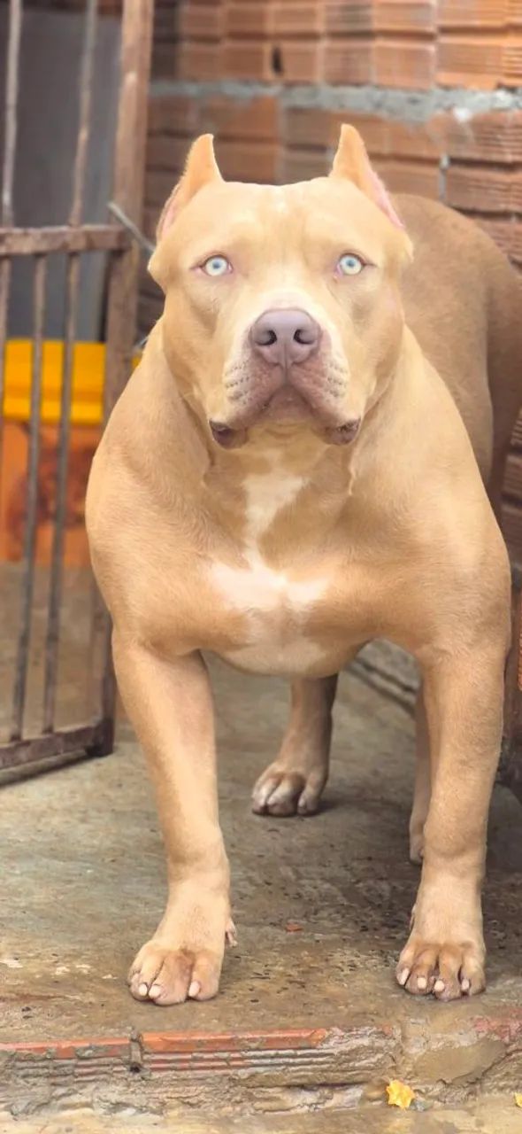 Pit monster
