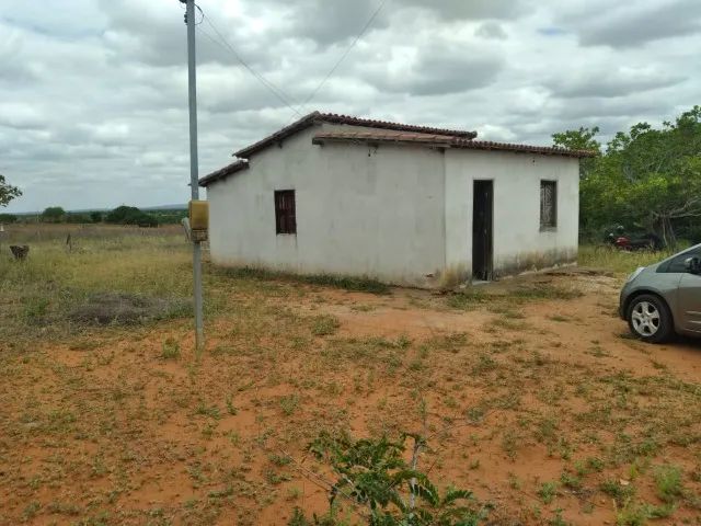 Roça de 5 tarefas com casa em Araci - Foto 2