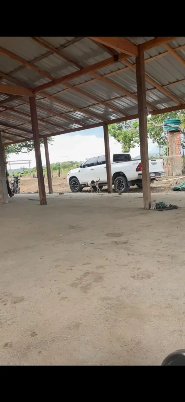 fazenda a venda no Apiaú  - Mucajaí - RR - Foto 5