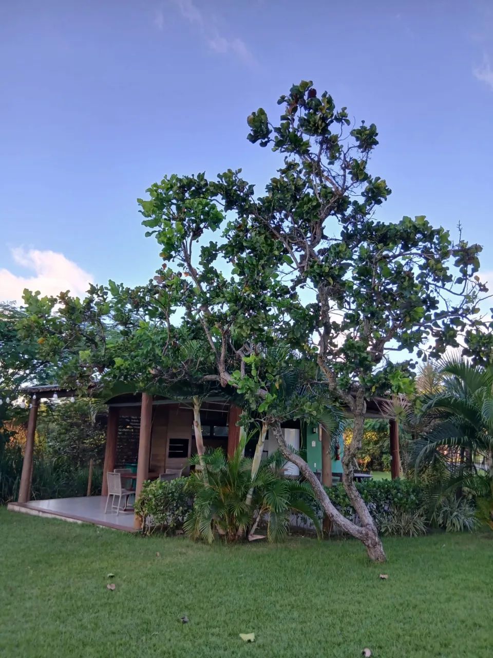 Lote no Reserva Terra Brasilis  - Foto 4