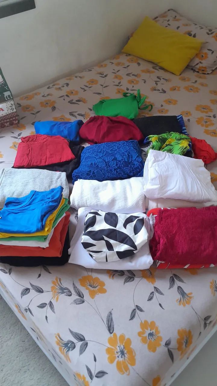 Lote de roupas 
