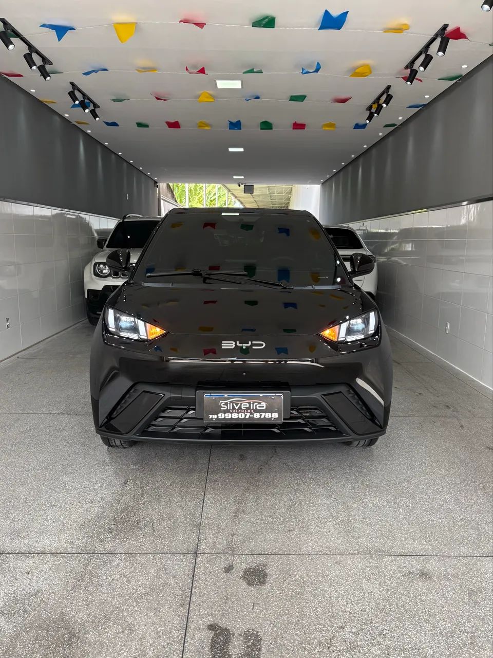 BYD Dolphin GS (Elétrico) 2027 - Foto 2