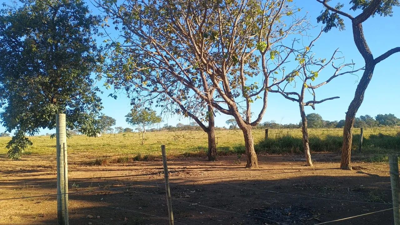 Chácara  - Foto 3