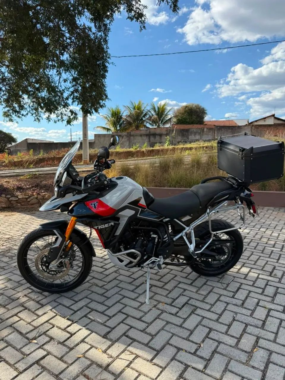 TIGER 900 rally Pro - Foto 3