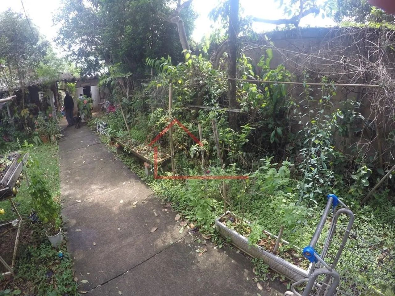 chácara - Chácara Santa Margarida - Campinas - Foto 5