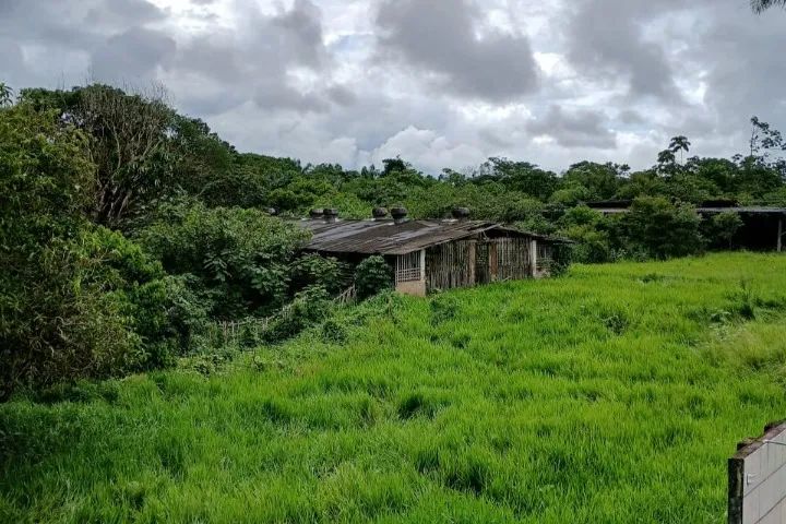 Terreno Agrícola, 330.000m², casa sede e caseiro  - Foto 5