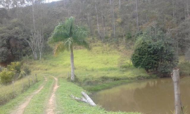 Sitio rico em água com cachoeiras, rios e lagos de piscina naturais, leia anúncio!!! - Foto 13