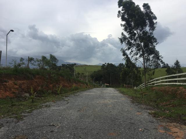 Sítio com 4 alqueires em Caxeta - Foto 16