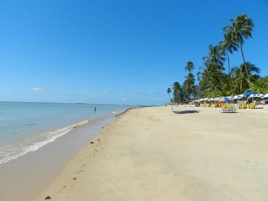 Lote no Condomínio Sonho Verde -Paripueira -AL - Foto 14