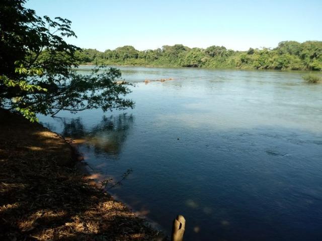 Chácara de porteira fechada no Rio Cuiabá com barco piscina gado e cavalo - Foto 9