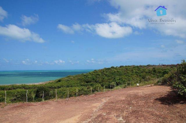 Terreno com vista panorâmica para o mar, barra de gramame, conde. - Foto 6