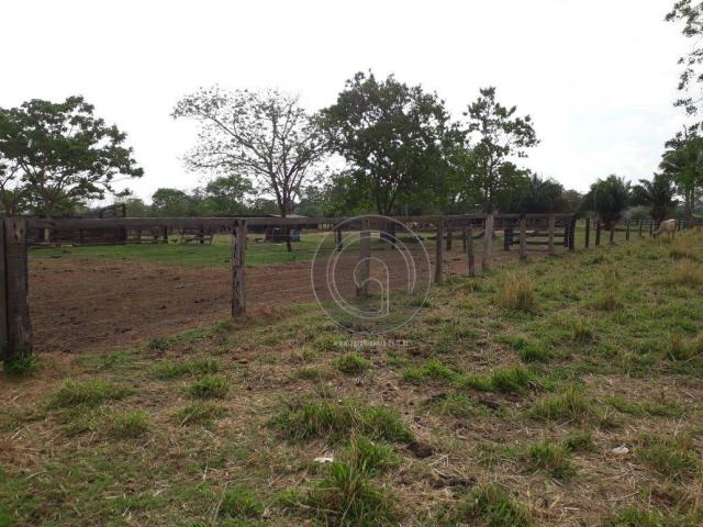 Sítio à venda na região de cáceres/mt - Foto 11