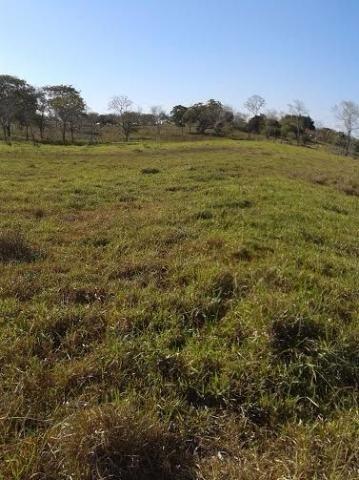 Sitio c/ 48he c/ 80% aberto, porteira fechada, N S Livramento-MT, faz troca - Foto 3