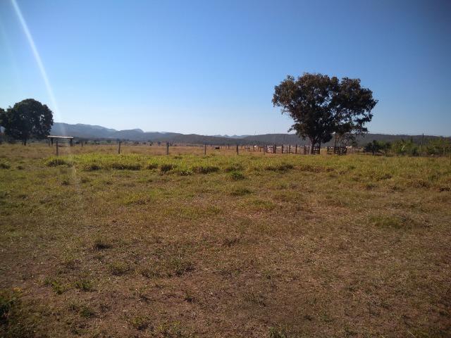 Fazenda c/ 920he, com 600he formados, as margens da BR, a 35km de Cuiabá-MT - Foto 12